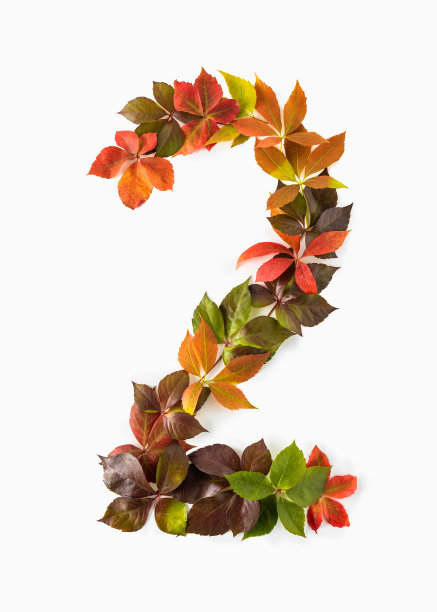 数字字体组合图案