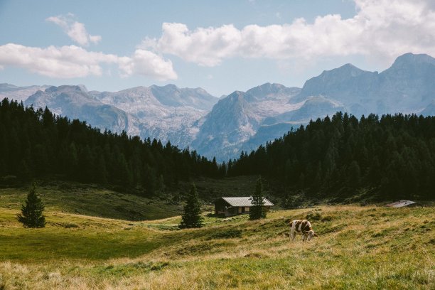 secluded
