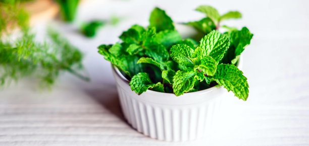 spearmint
