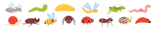 entomology