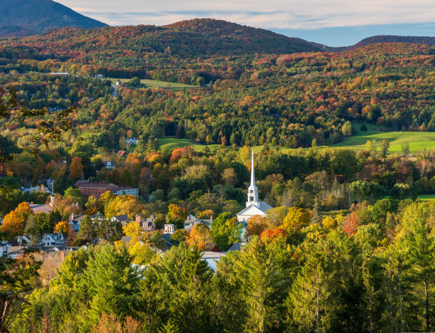 vt
