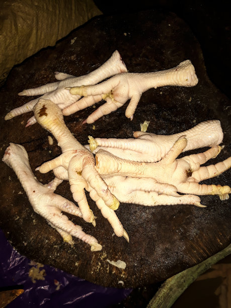 格子烤肉,清新,烹调