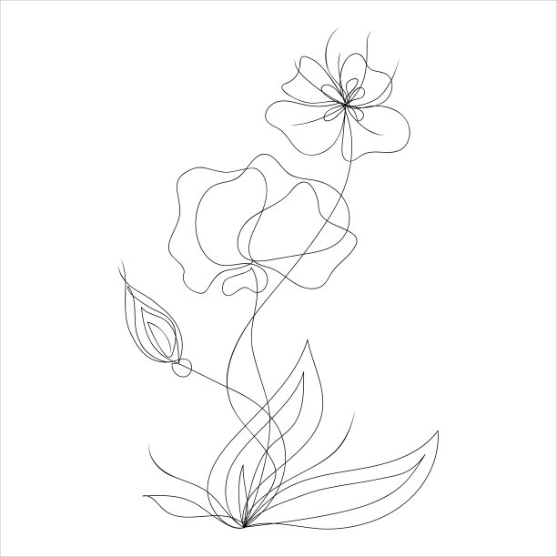 花朵线条