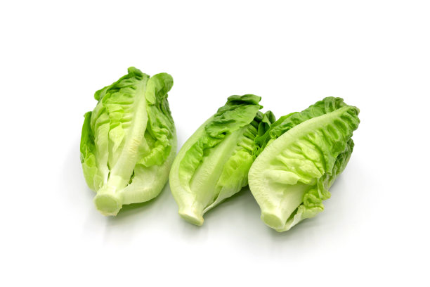 romaine