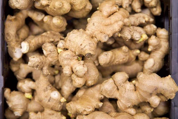 ginger