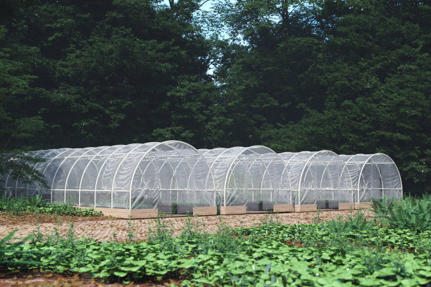 greenhouse