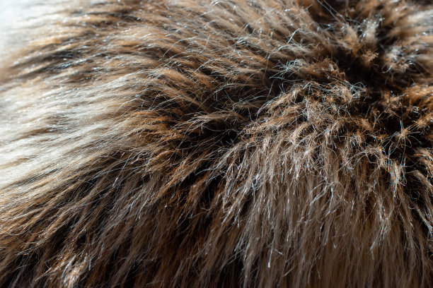 hairs