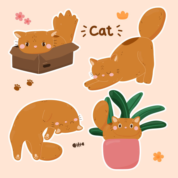小猫,猫科动物,猫