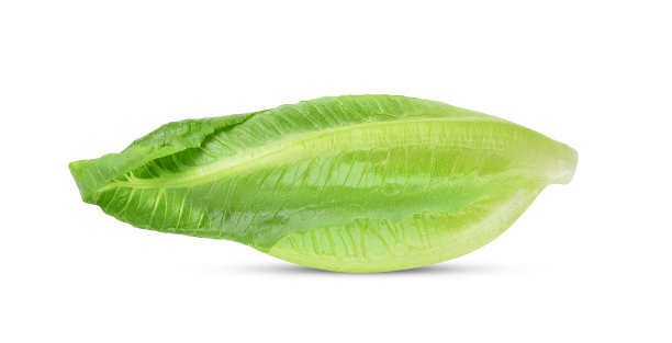 romaine