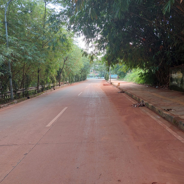 道路 蓝天 公园 树荫 阳光 