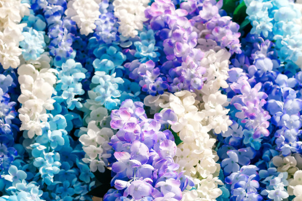 精美紫色绿色圆形花纹图案