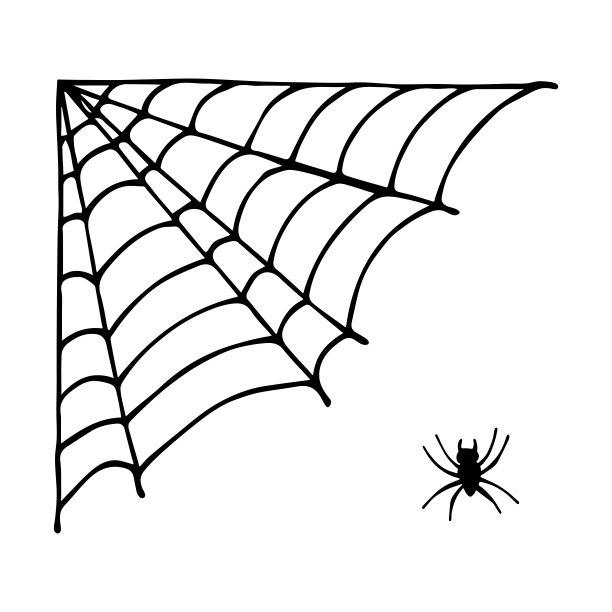 araneae