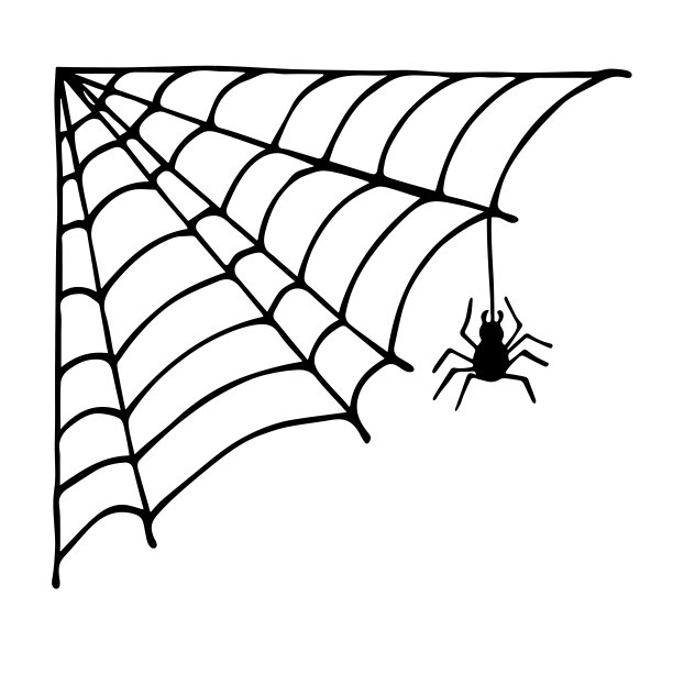 araneae