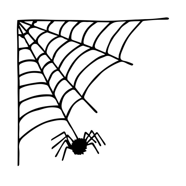araneae