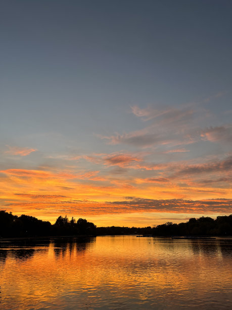 飞鸟蓝色大海壁纸
