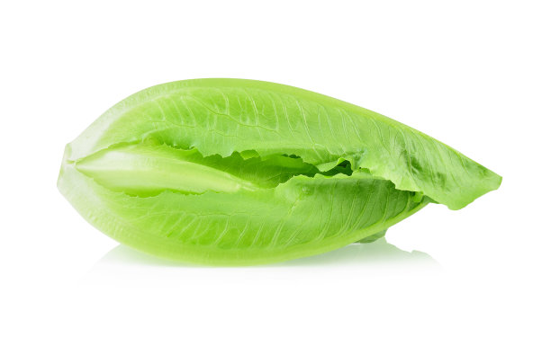 romaine