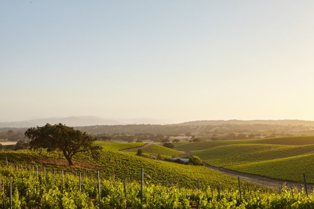 solvang