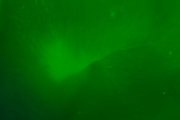 绿色发布会背景