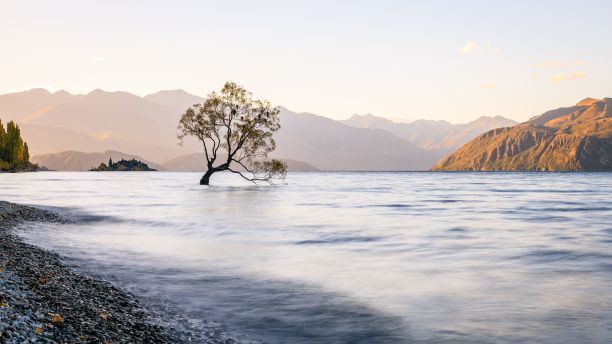 wanaka