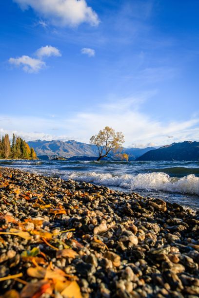 wanaka