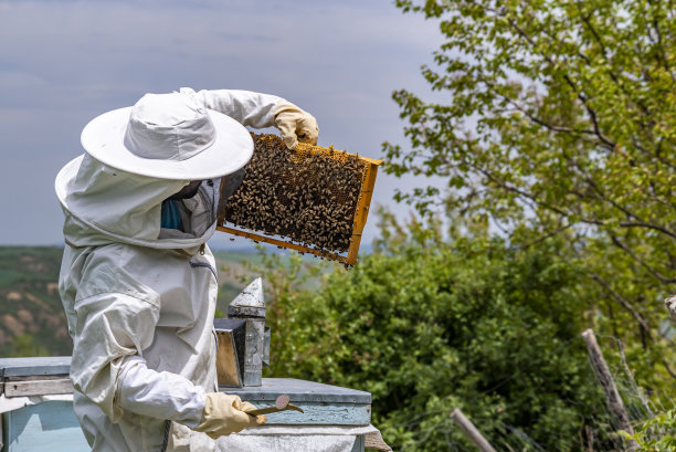 beekeeper