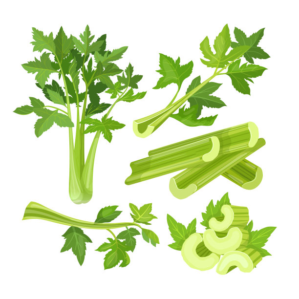 celery