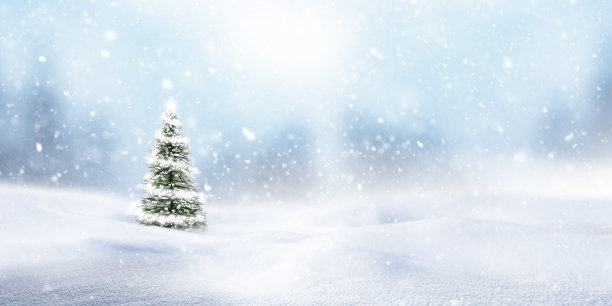 冬季雪景圣诞装饰背景图