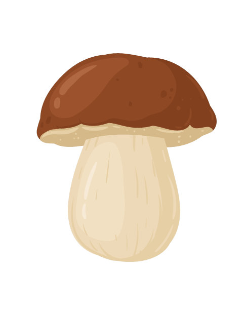 mushrooms