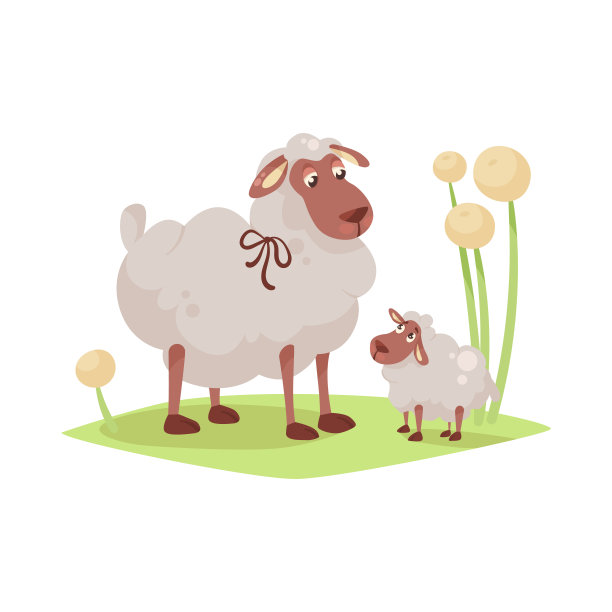 sheep