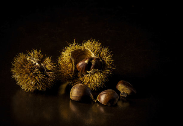chestnut