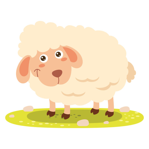 sheep