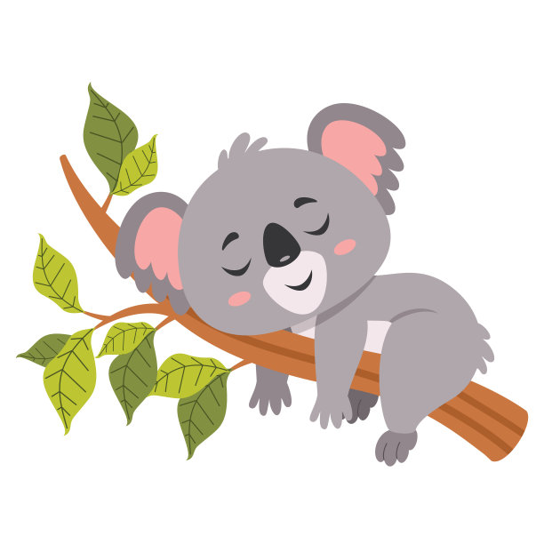 koala