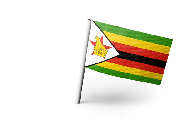 zimbabwean