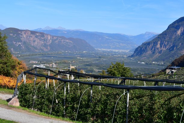 bolzano