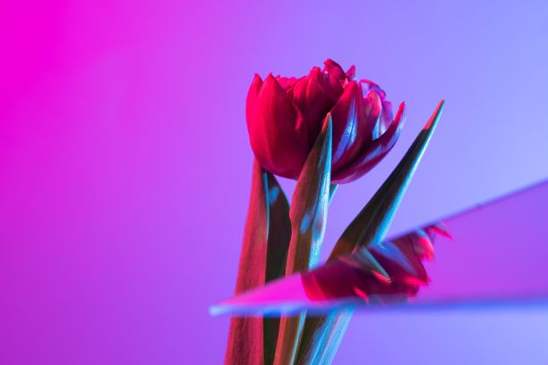 红色大气会议背景