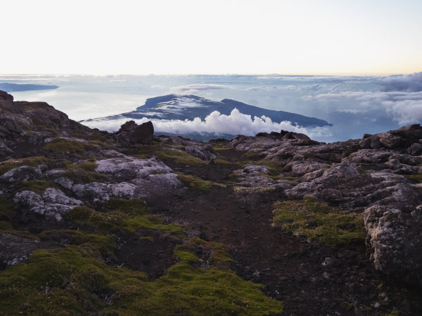 pico