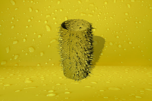 cholla