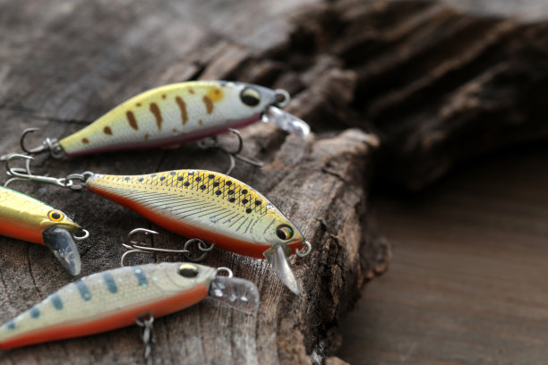 salvelinus