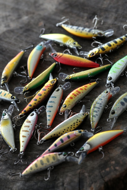 salvelinus