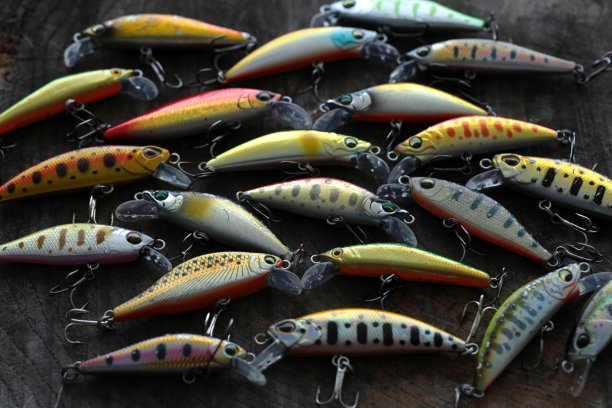 salvelinus