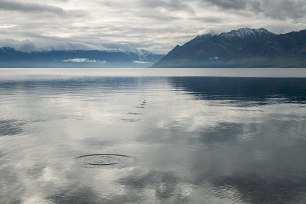 hawea