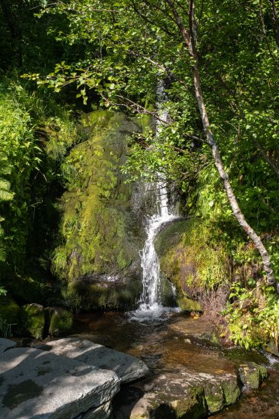 rorbu
