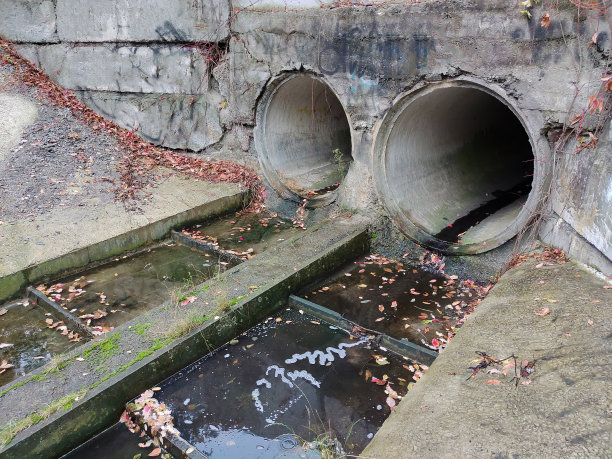 ditch