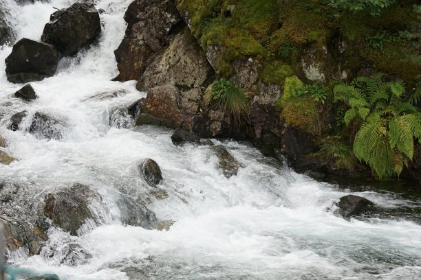 rapids