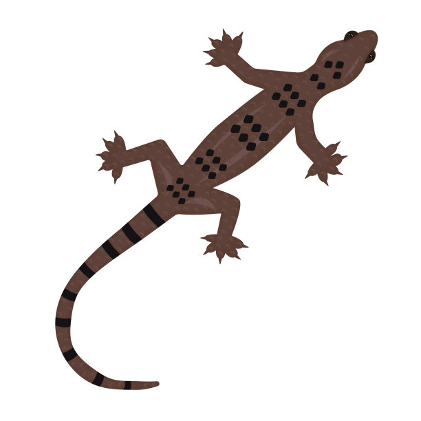 phelsuma