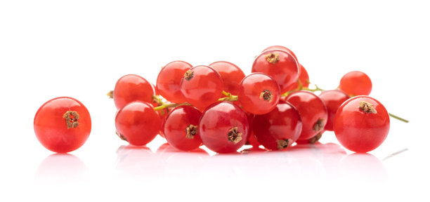 redcurrant