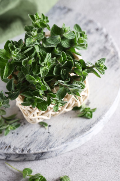 oregano