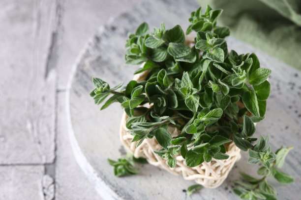 oregano