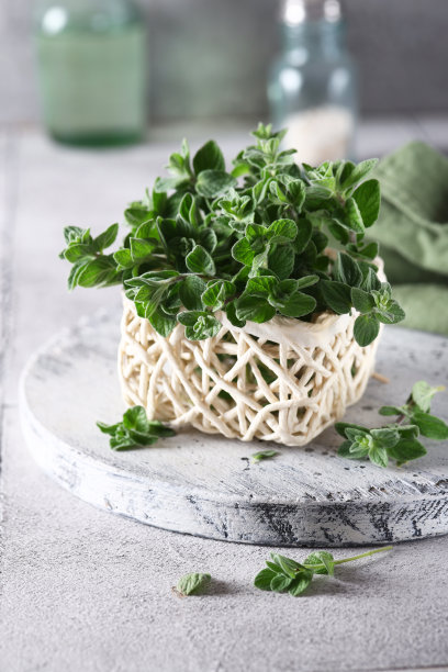 oregano