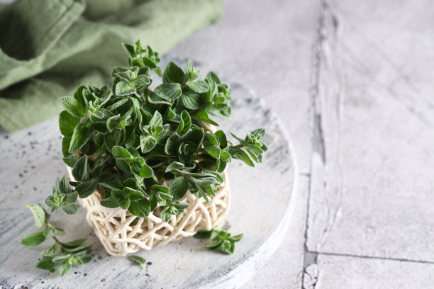 oregano